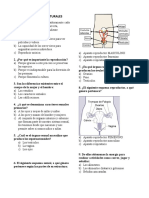 EXAMEN DE CIENCIAS NATURALES 4o PRIMER PERIODO11