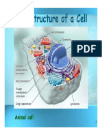 FSC111 - Cell Structure and Function