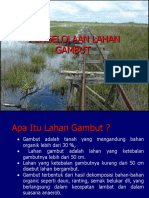 P7. Tanah Gambut