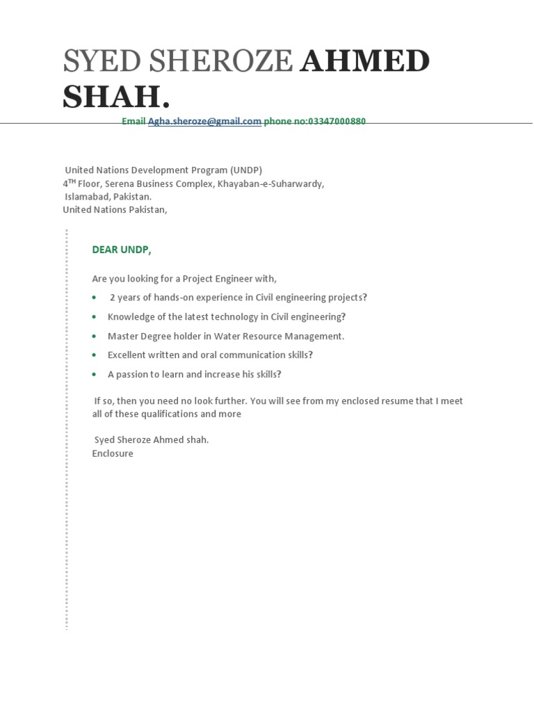 Project Engineer Application for UNDP | PDF