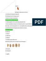 Biologi Soal