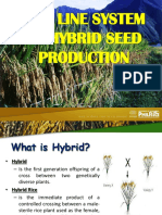 Seed Technology Two Line System