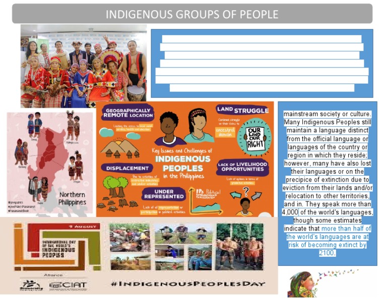 Infographics in Indigenous Groups | PDF