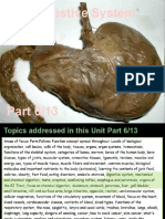 Part 6 Digestive System Preview