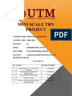Mini Scale TRN Project-1