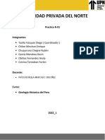 PRACTICA DE CAMPO - Estudios Geológicos en El Perú