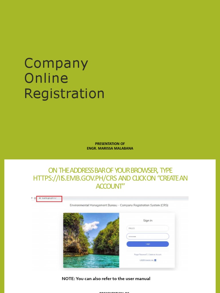 Online Registration Guide | PDF | User (Computing) | Computing