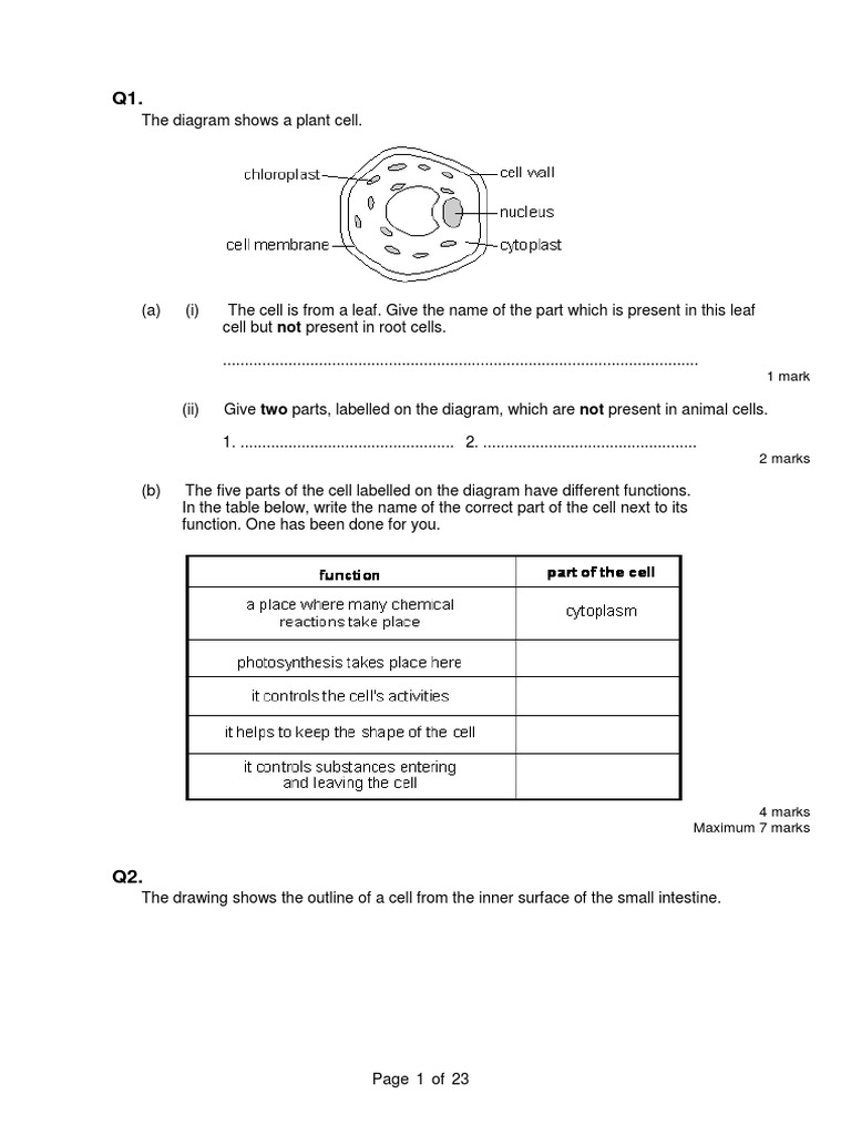 Year 8 Science Progress 3 Practice Questions and Answers PDF