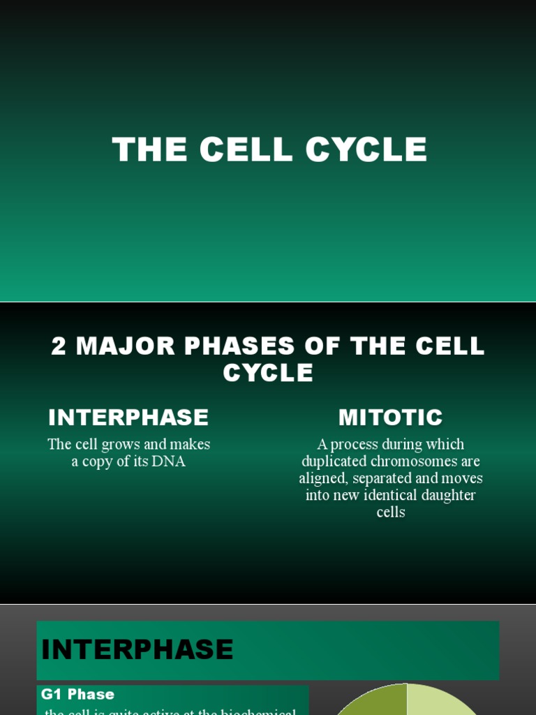 The Cell Cycle Biology Diagrams