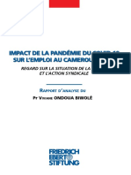 Impact de La Pandémie Du Covid-19 Sur L'Emploi Au Cameroun (Ipec)