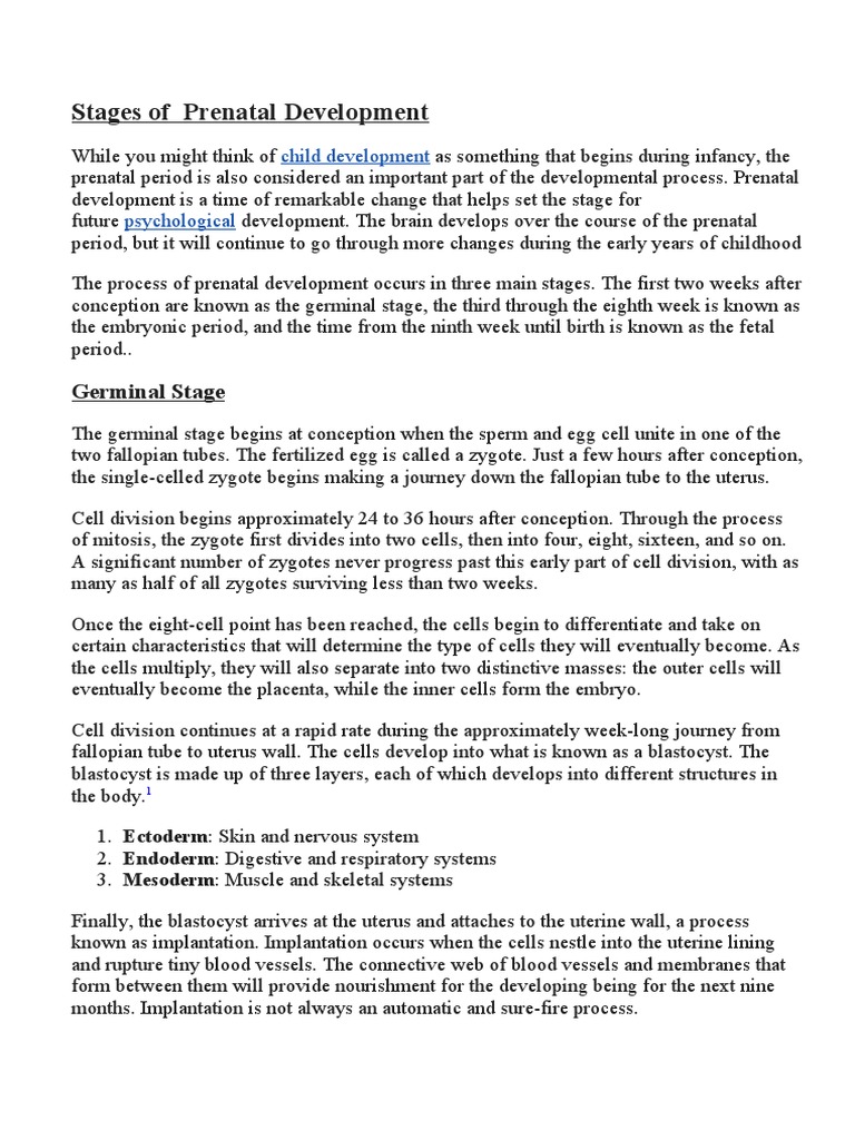 Stages of Prenatal Development | PDF | Prenatal Development ...