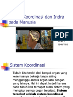 Sistem Koordinasi Dan Indra Pada Manusia