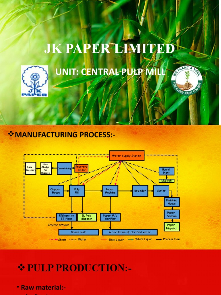 JK Paper Limited Hehe PDF Pulp (Paper) Paper