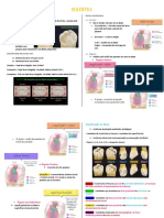 Dentística Completo