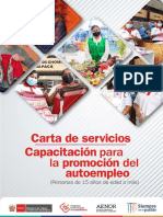 Carta de Servicios Autoempleo PNPE