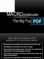Macromolecules Presentation NXPowerLite