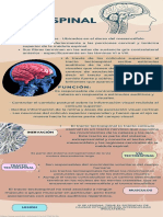 Infografia - Neuro