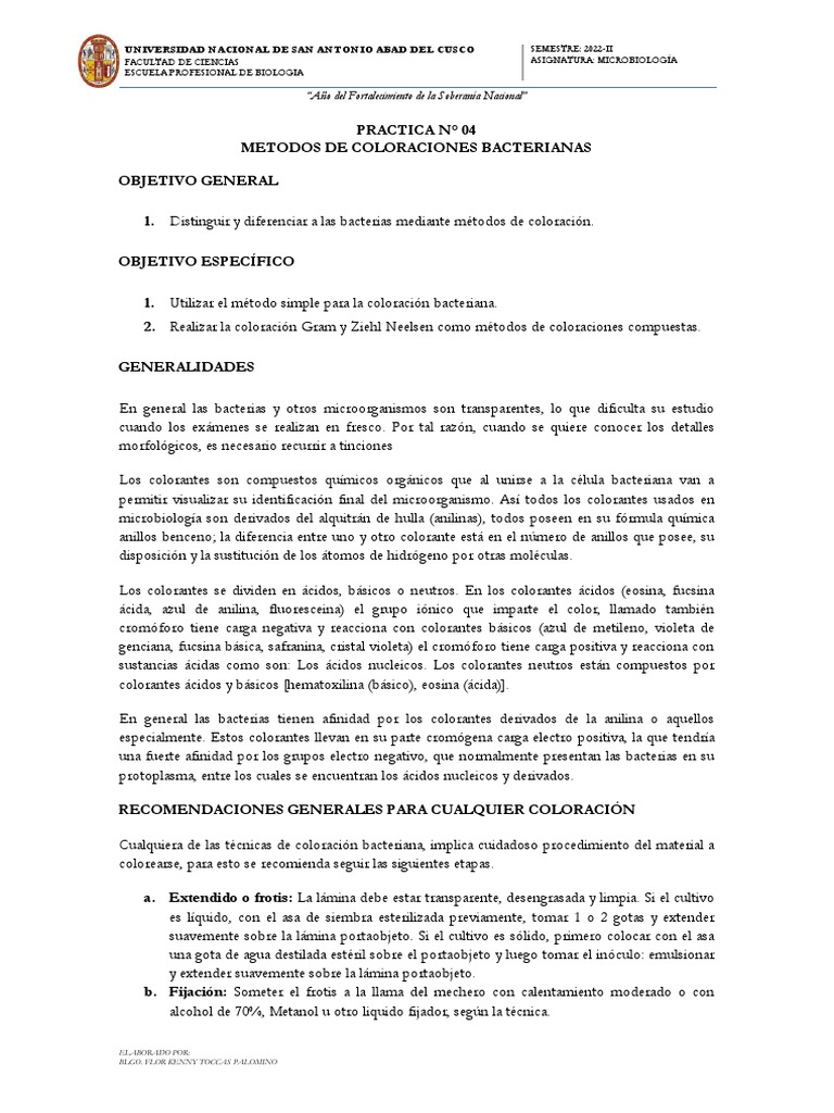 Coloración Gram y Ziehl Neelsen en Bacterias | PDF | Tinción ...