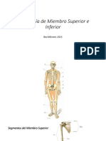 Clase 4 Osteología de Miembro Superior e Inferior Bachillerato 2021