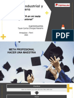 Tarea 2 Meta Profesionala