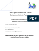 Plan de Negocios para La Produccion de Espumas y Acojinados en Tizayuca Hidalgo