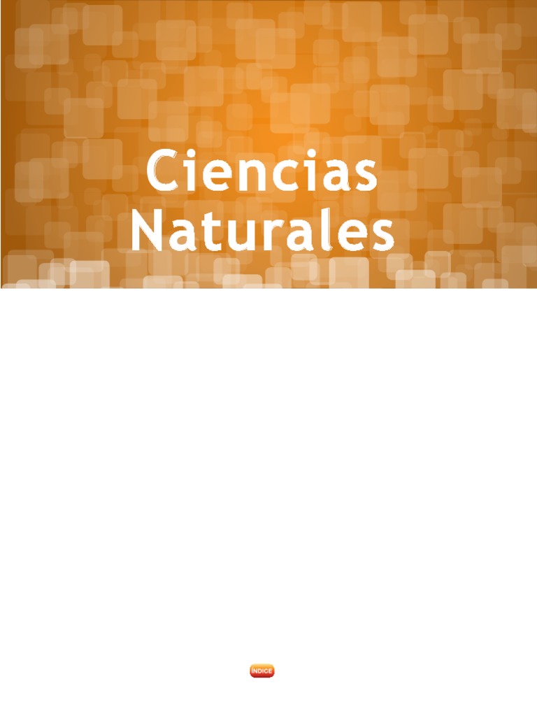 Programa Quinto Grado Ciencias Naturales PLAN 2011 PDF