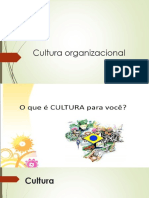 Aula 2 - Cultura Organizacional