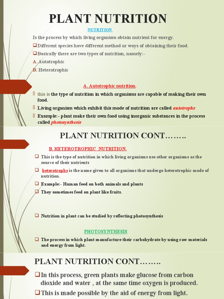 bio plant collagen booster Bio Plant Collagen Booster