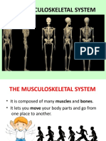 Skeletalsystem