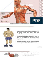 742. Sistemul Muscular