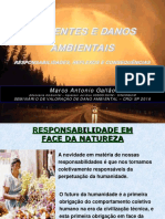 Seminario Dano Ambiental Gallao