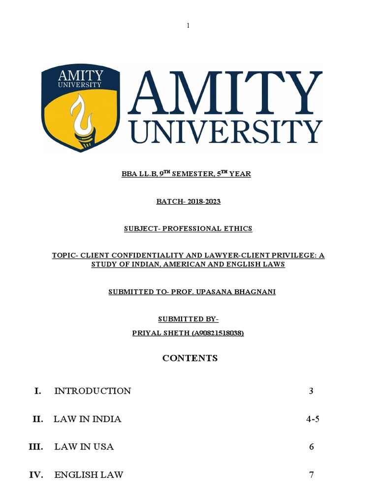 Professional Ethics Project Descargar gratis PDF Lawyer Attorney