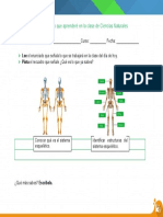 Sistema Esqueletico 5 Basico