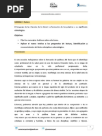 Manual de Terminologia Revision | PDF | latín | Palabra