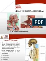 Teoría 10 Cuello y Columna Vertebral