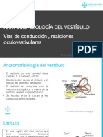 Anatomofisíología Del Vestíbulo
