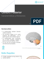 Presentación Cerebro Posterior