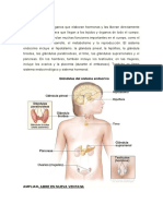 Sistems Endocrino