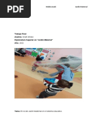 Ensayo Sobre Rol Dell Jardín Maternal en El Sistema Educativo Argentino