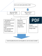 Alur Hipotermia