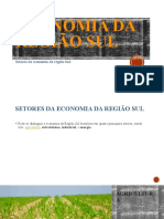 Economia Da Região Sul