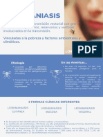 Revista Digital Leishmaniasis