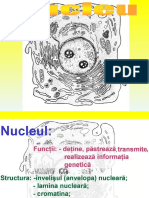 Nucleul 2022-67708