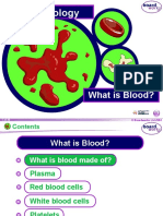 KS4 What Is Blood