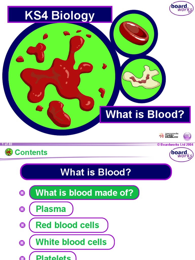KS4 What Is Blood PDF Blood Blood Cell