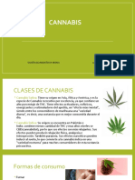 Cannabis