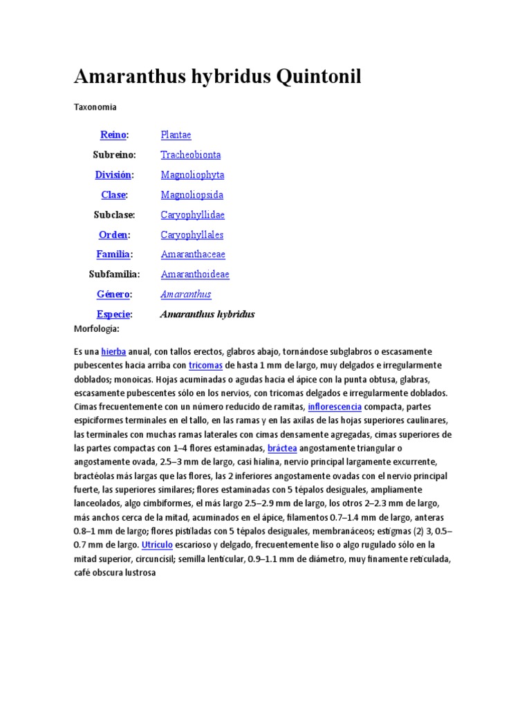 Amaranthus hybridus Quintonil: Descripción morfológica y taxonómica de ...