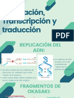 Replicacion, Transcripcion y Traduccion