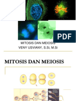 Mitosis Meiosis (Bilogi4)