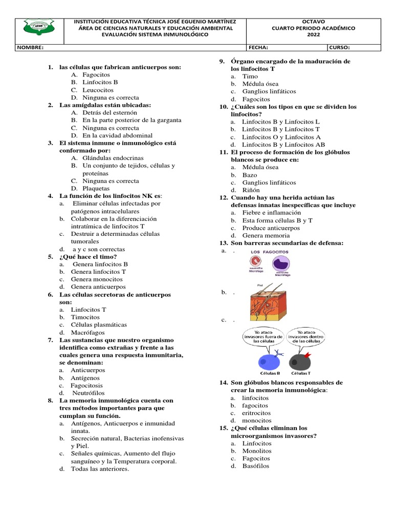 Examen Sistema Inmune Pdf Linfocitos Sistema Inmune
